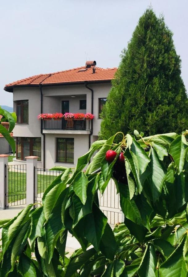 Katerina Guest House Kocherinovo エクステリア 写真
